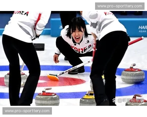 冰壶网页版——指尖上的冰雪策略盛宴